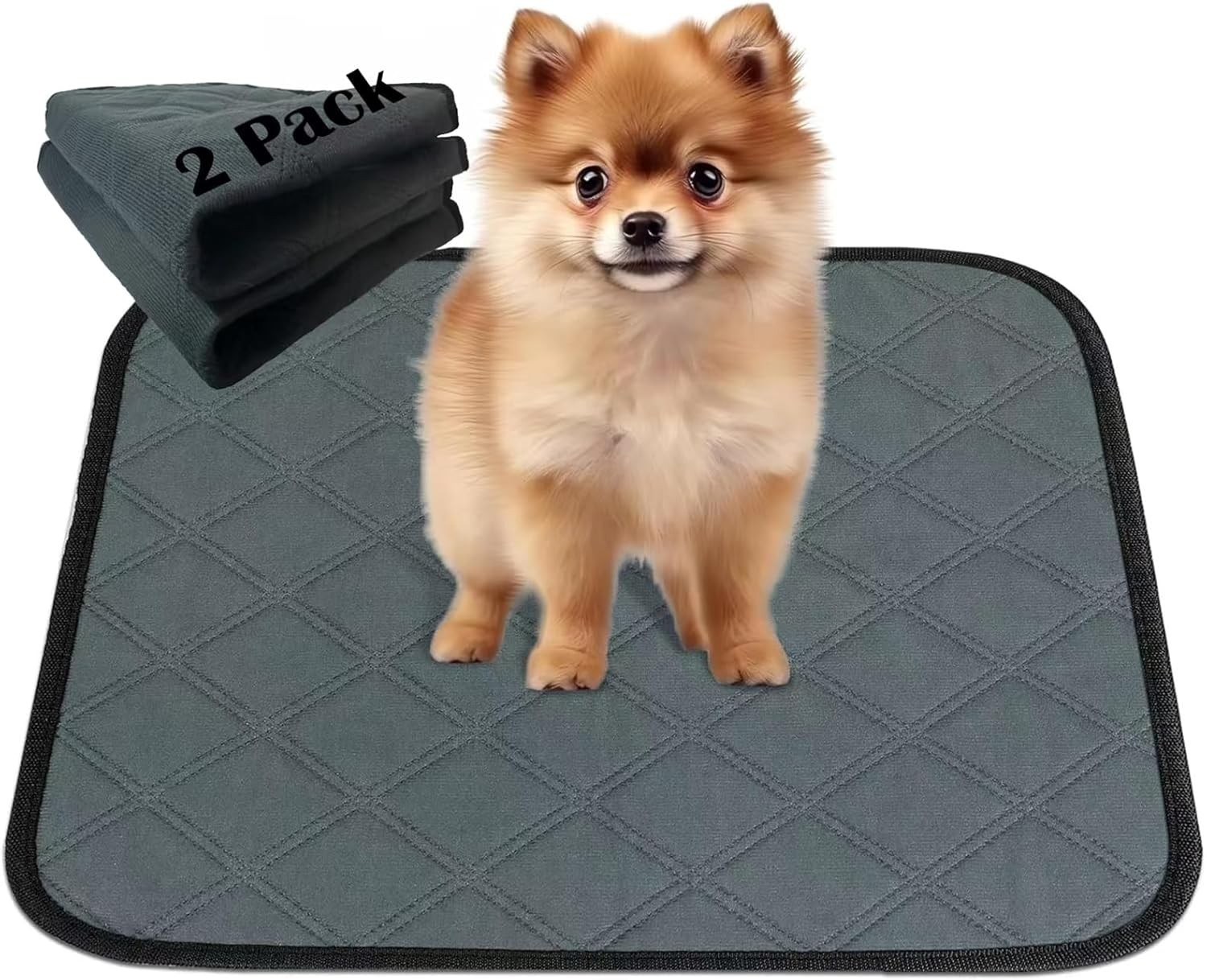 2 small washable pee pads, 16x24 inches, for dog potty training, non-slip, prevents leakage, suitable for small dogs and cats.